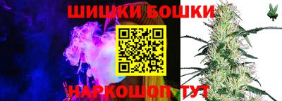 Альфа ПВП Беслан
