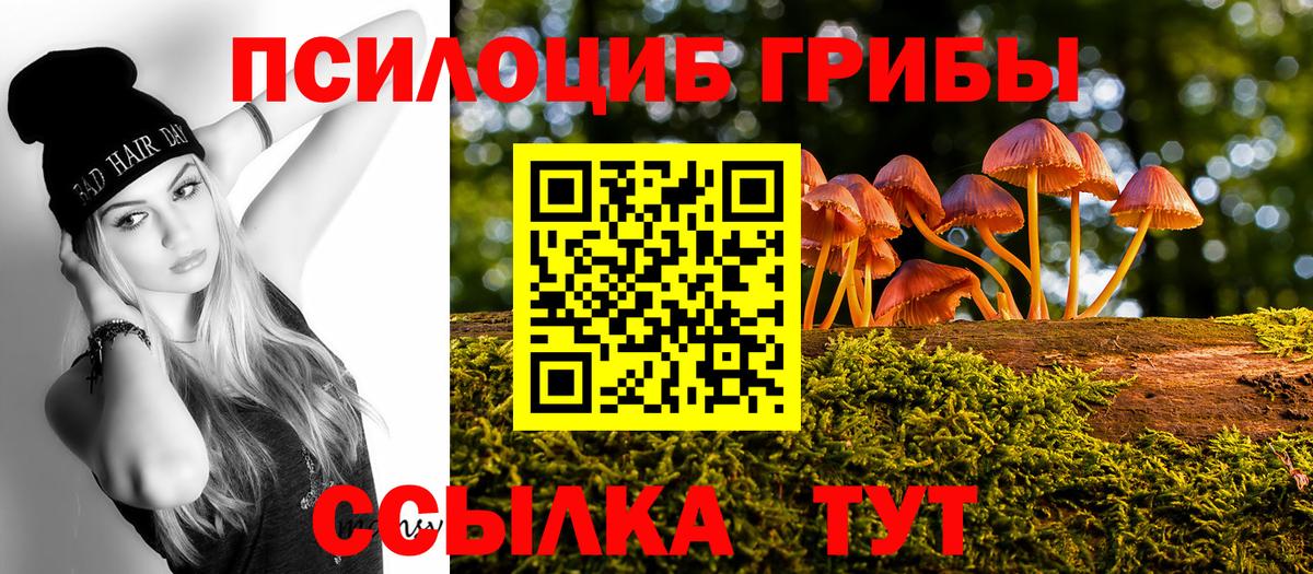 Вятские Поляны  Псилоцибиновые грибы ЛСД  Вход с VPN 